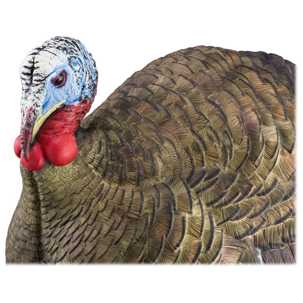 Avian X AVX8012 LCD Half Strut Jake Turkey Decoy - Realistic Hunting Decoy for Spring Turkey Season | Perfect for Field Hunting & Woodland Setups