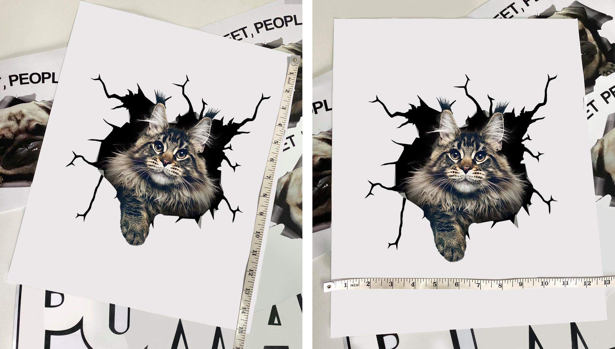 Maine Coon Cat Car Decals Pack of 2 - 10