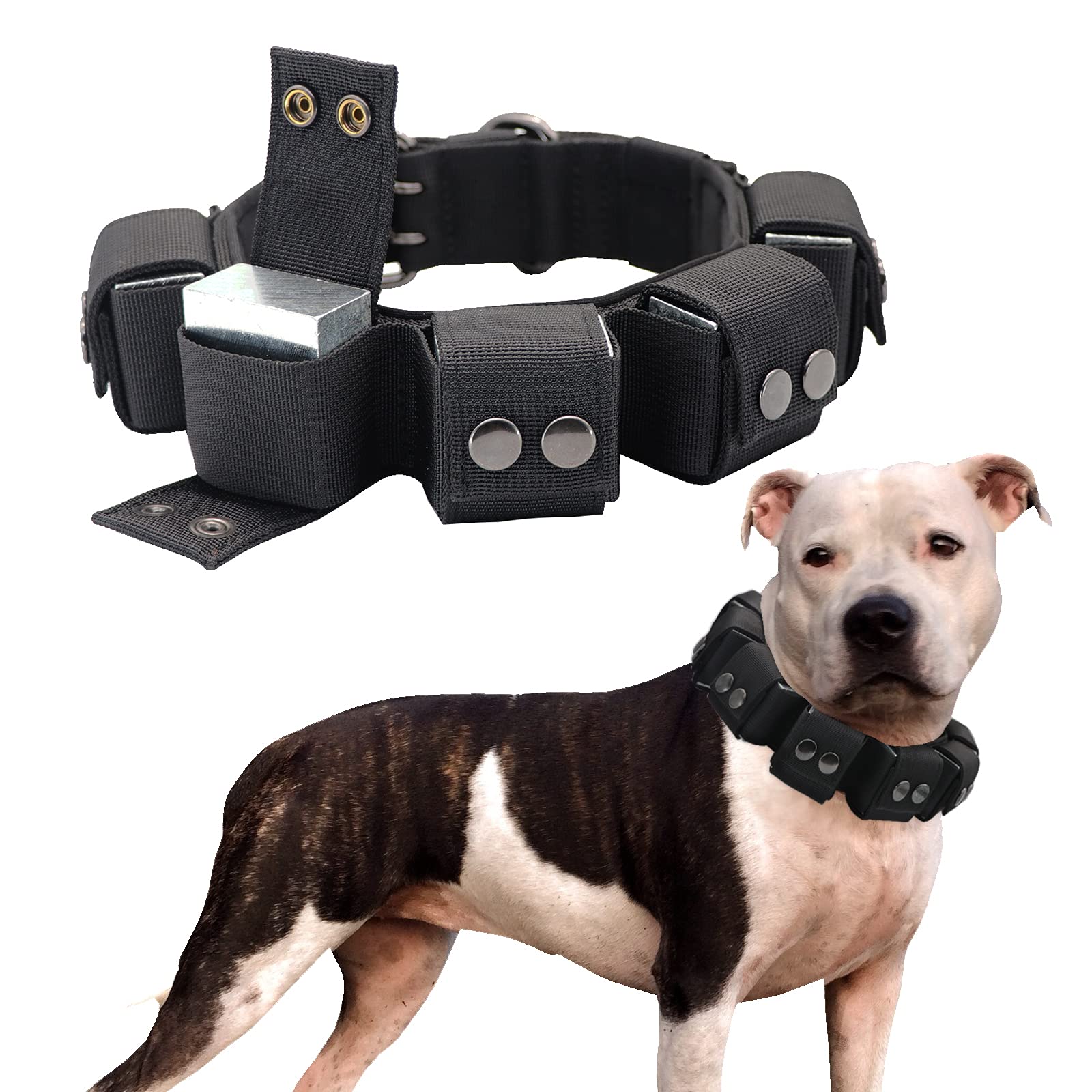 Tactical Weighted Dog Collar with Adjustable Free Weights - Professional Dog Training & Exercise Equipment for Small, Medium & Large Dogs - Perfect for Outdoor Adventures & Obedience Training