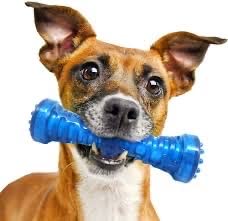 Durable Indestructible Dog Chew Toy for Aggressive Chewers - Interactive Dental Chew Stick Promotes Teeth Cleaning & Reduces Anxiety - Blue Boredom Buster for Training and Stress Relief (Great for Large Breed Dogs & Puppy Teething)