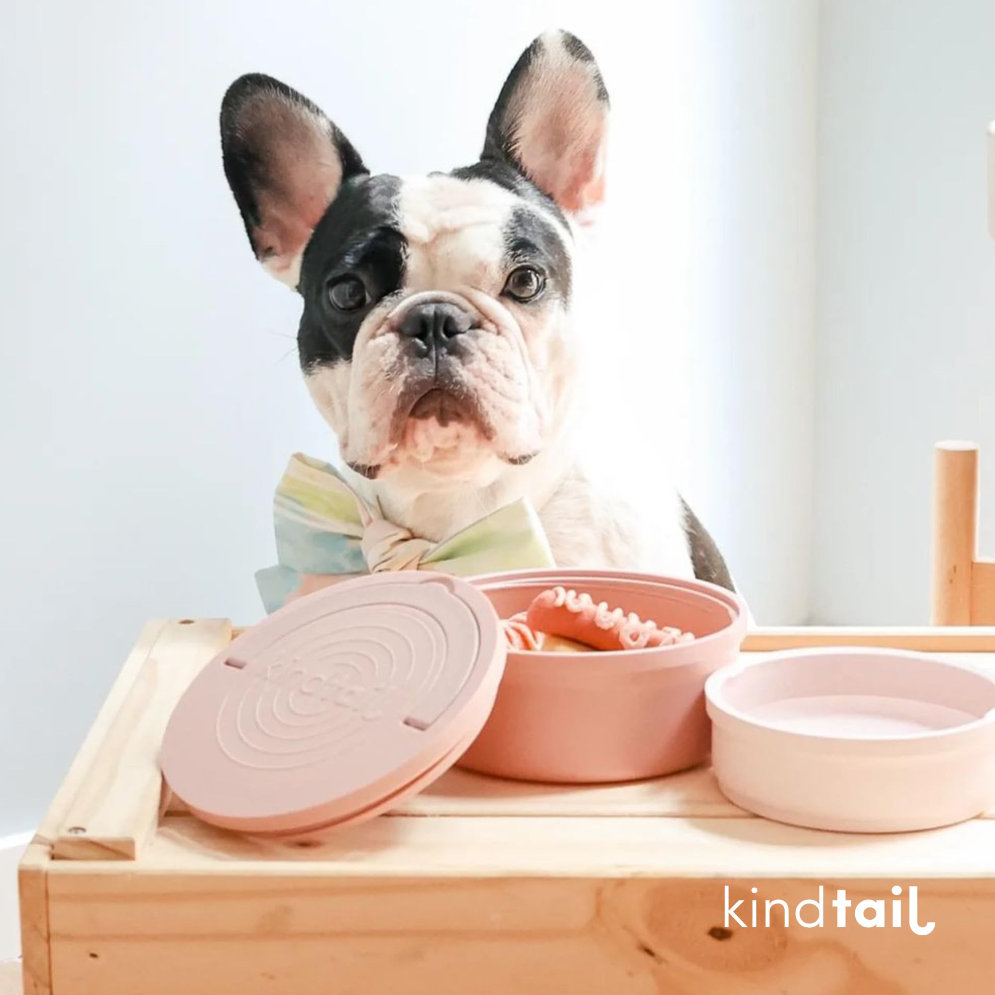 KindTail 2-Pack Portable Dog Travel Bowls - Collapsible Pet Food & Water Dish Set with Lid, Handle & Non-Slip Silicone Base - BPA Free, Microwave & Dishwasher Safe Nesting Containers - Perfect for Hiking, Camping, Road Trips & Outdoor Adventures with Your Pet