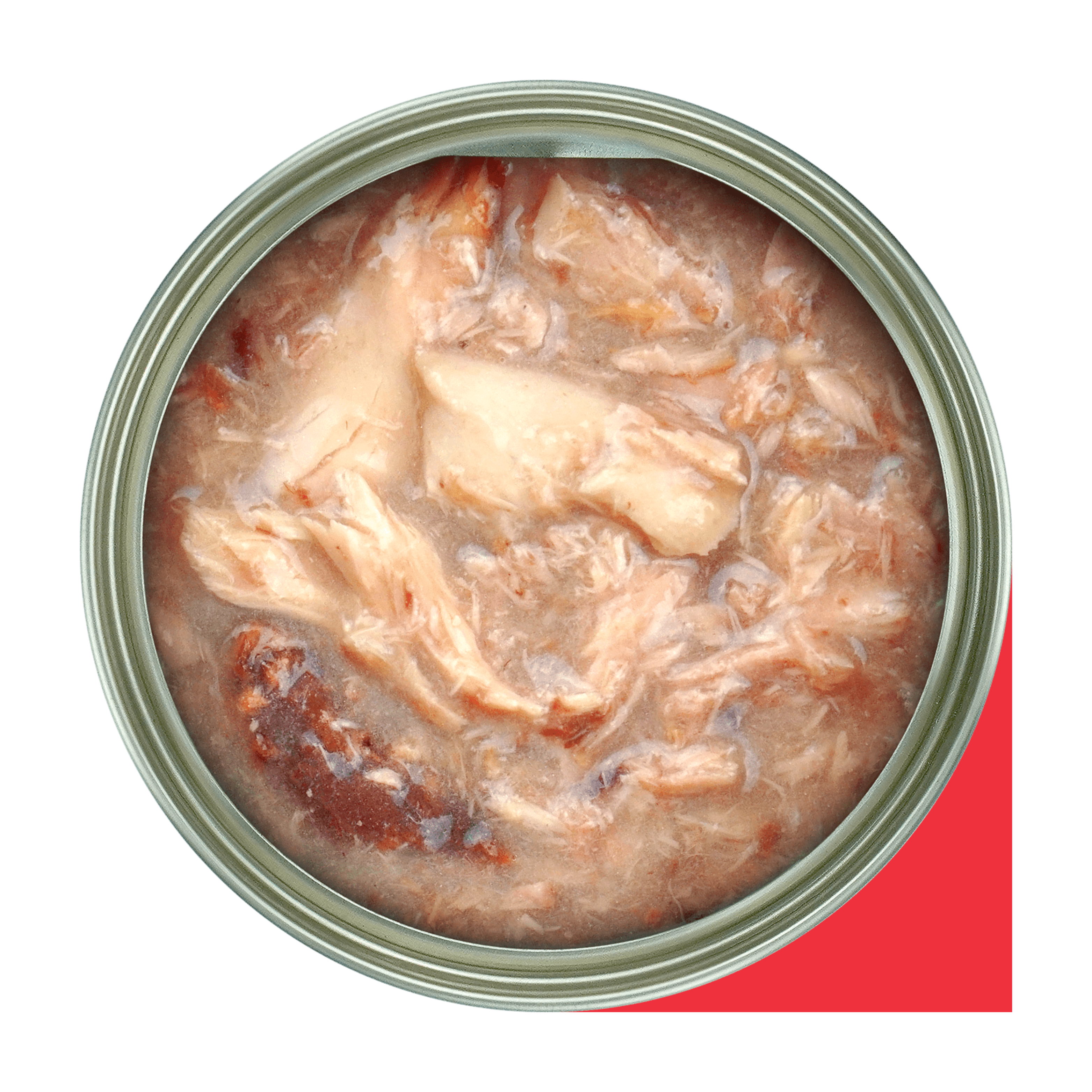 Premium Fussie Cat Goat Milk Tuna & Salmon in Gravy Wet Cat Food - 70g Pouch | High Protein Natural Cat Treat for Adult & Senior Cats | Perfect for Mealtime, Travel & Weight Management