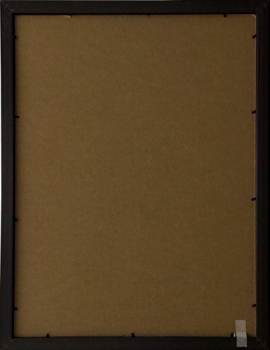 Frame USA Budget Saver Series 18x24 Polystyrene Poster Frames - Black - Lightweight & Affordable Wall Decor for Home, Office, or Classroom Display