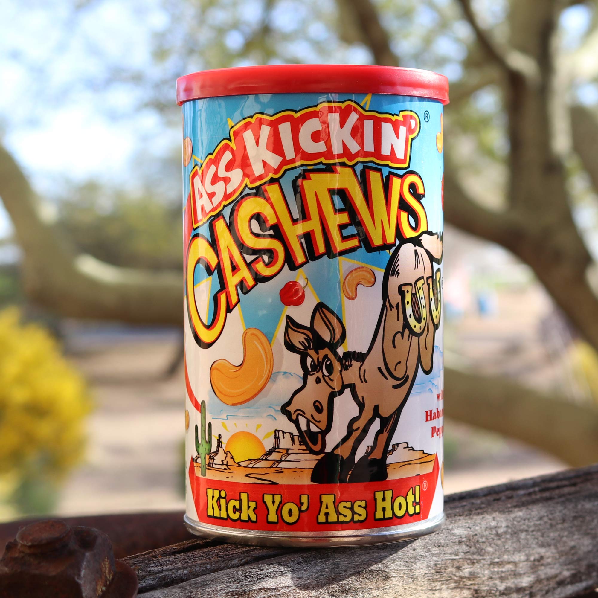 ASSKICKIN' Roasted Hot & Spicy Cashews - Habanero Flavored Nuts – 6oz Resealable Can - Premium Spicy Snack for Adults - Perfect for Parties, Gifts & Spicy Food Lovers