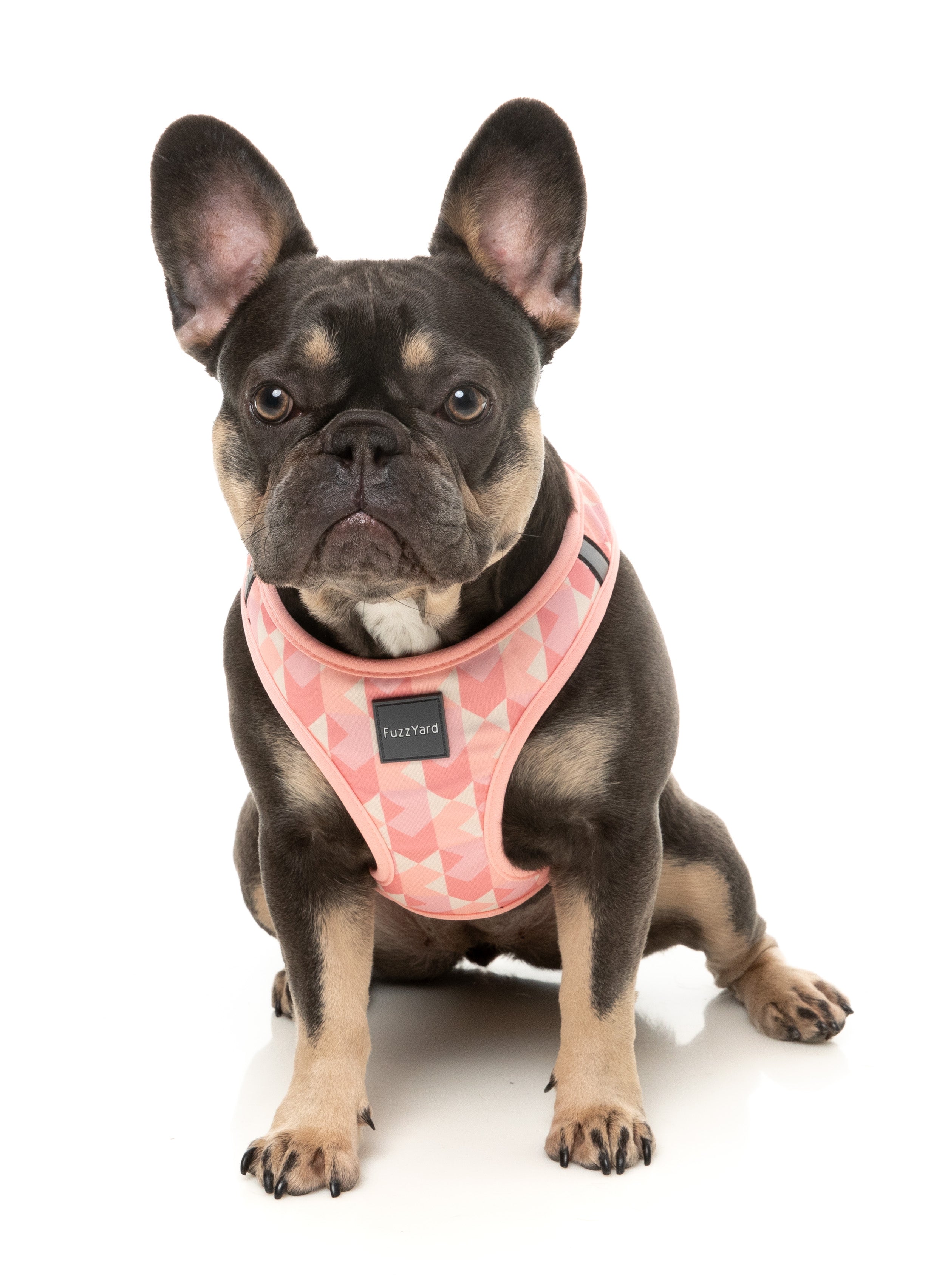Fuzzyard Pink Lemonade Dog Step-In Harness - Adjustable Soft Pet Vest for Small & Medium Dogs - Perfect for Walking, Training & Outdoor Adventures
