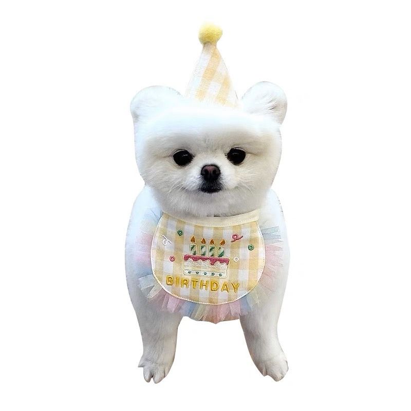 Rainbow Birthday Bib and Hat Set for Dogs - Cute Pet Party Accessories for Birthdays, Celebrations & Photo Shoots