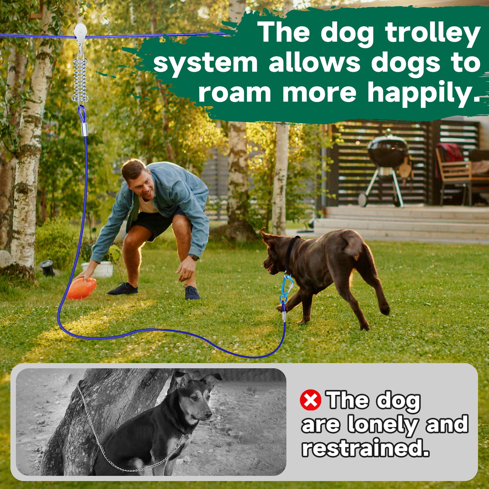 Heavy Duty 10ft & 50ft Dog Run Cable - Aerial Dog Trolley System for Large Dogs up to 250lbs | Outdoor Pet Tie Out for Backyard, Camping & Travel | Durable Zinc Coated Steel with Swivel Hook (Blue) | Perfect for Active Dogs, Secure Outdoor Play & Training Sessions