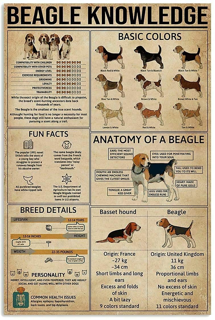 12x18 Inch Aluminum Metal Beagle Knowledge Wall Art Sign - Vintage Style Home Decor Poster for Living Room, Office & Man Cave - Perfect Gift for Dog Lovers
