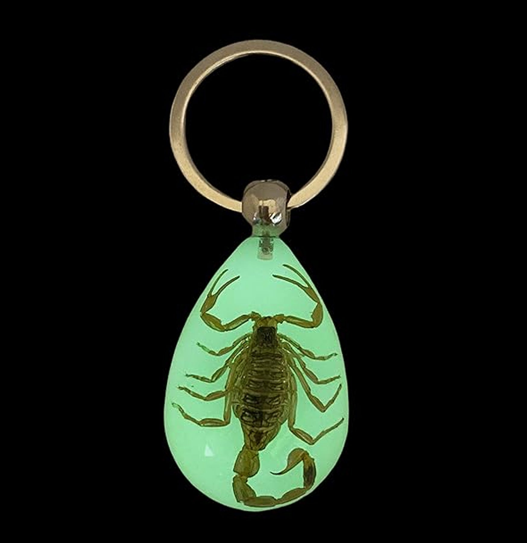 Black Scorpion Keychain - Durable Metal Key Ring for Men & Women - Perfect for Car Keys, House Keys & Backpacks - Unique Gift for Halloween & Outdoor Enthusiasts