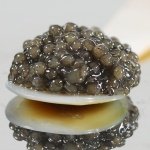 Premium American Paddlefish Caviar - 3.5 oz Jar | Wild Spoonbill Roe for Gourmet Dishes & Special Occasions