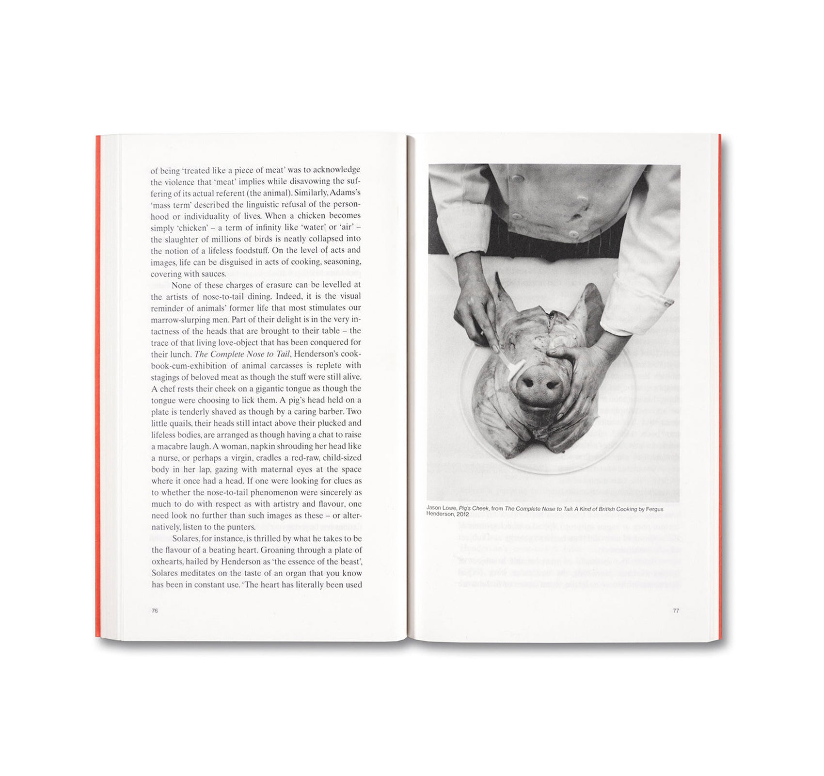 MEAT LOVE: AN IDEOLOGY OF THE FLESH by Amber Husain | Philosophy Book on Carnal Desire & Modern Culture | Perfect for Food Studies & Gender Theory Discussions