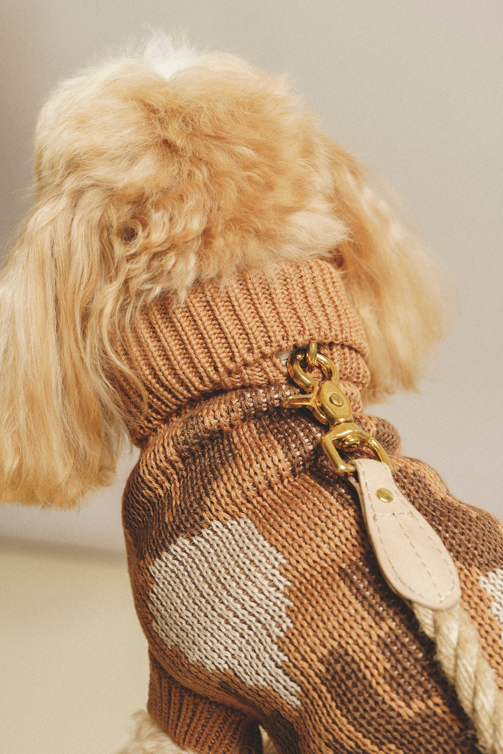 Dog Cardigan Sweater - Soft Pony Cotton Knit for Small Dogs - Cozy Winter Wear for Indoor & Outdoor Use
