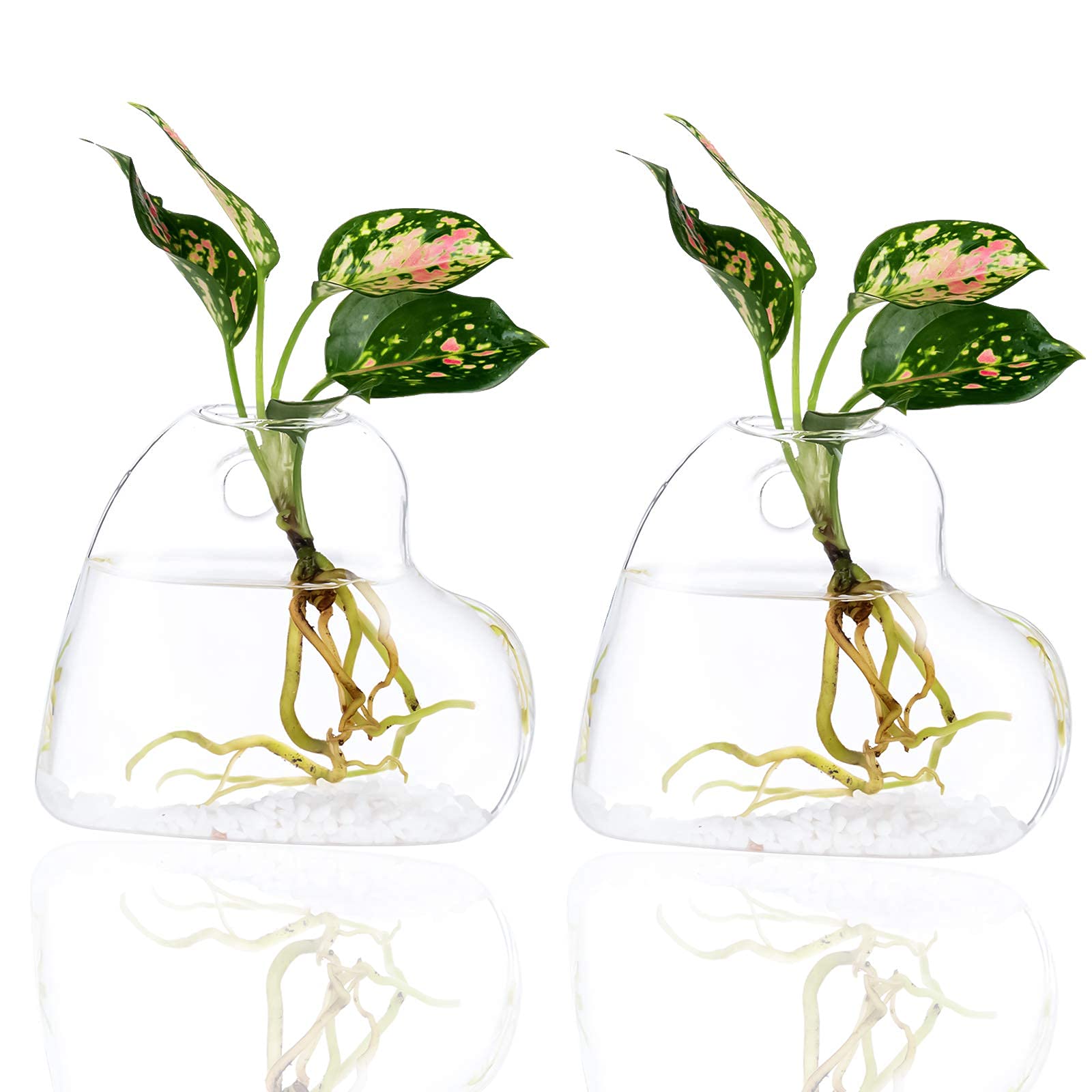 Kingbuy Glass Wall Hanging Planters - Air Plant Terrariums & Hydroponic Plant Containers for Home & Office Decor (Heart Vase + Large Cylinder) - Perfect for Indoor Gardens, Living Room Decor, and Gift Ideas