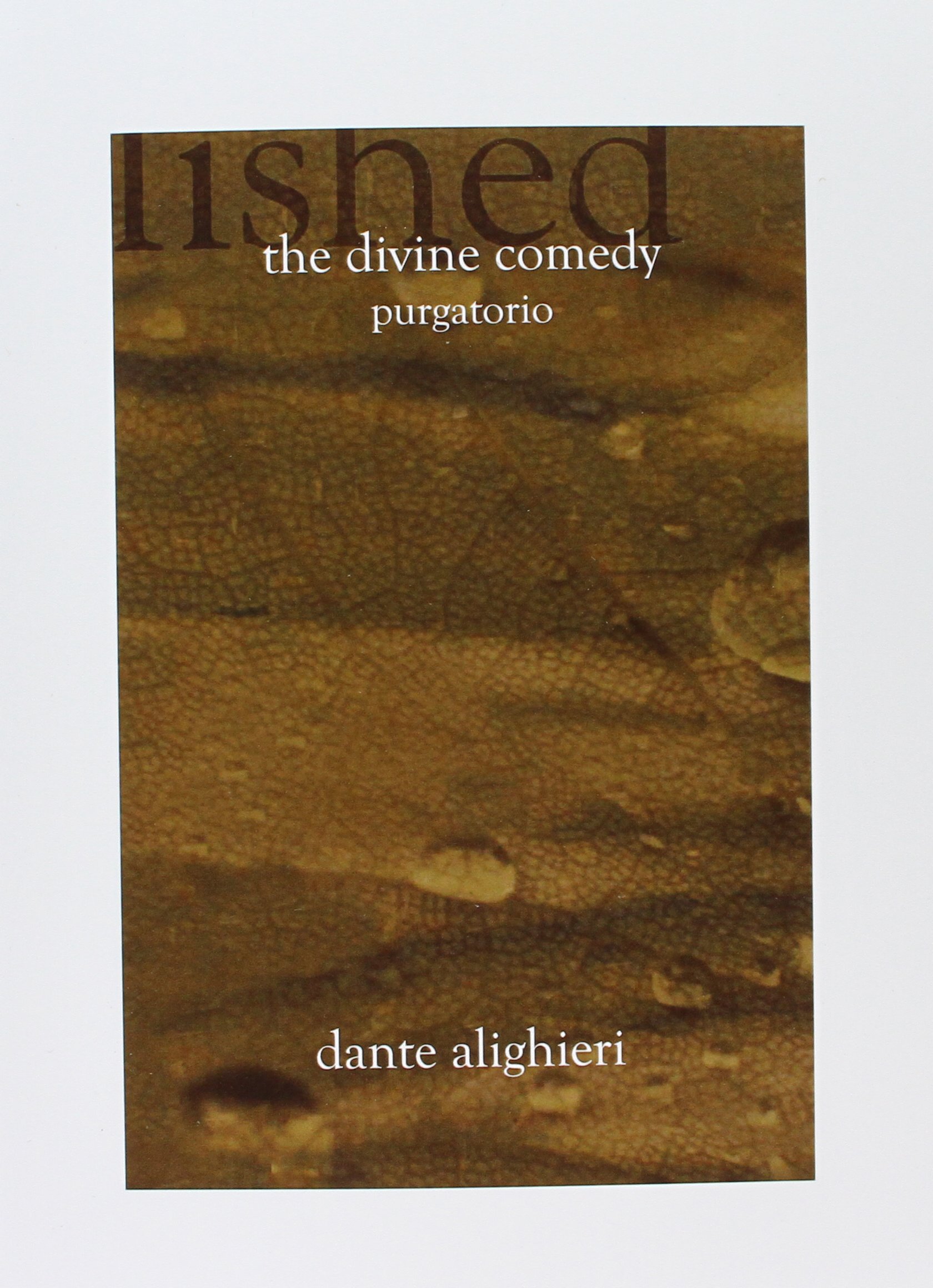 The Divine Comedy by Dante Alighieri - Classic Epic Poem, Inferno, Purgatorio, Paradiso | Perfect for Literature Studies, Book Clubs & Classic Fiction Lovers