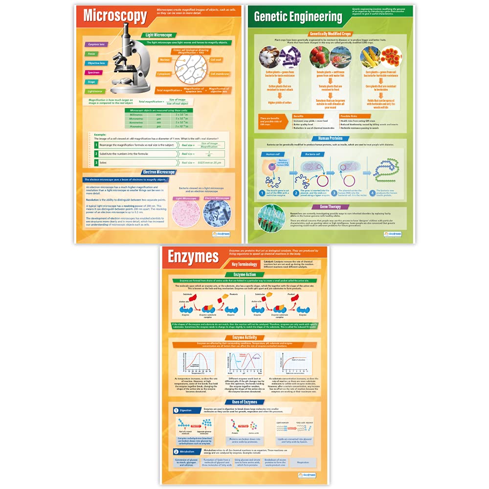 Biology Science Posters - Set of 13 Extra Large 33x23.5 Inch STEM Classroom Decor - High Quality Gloss Paper Wall Charts for Middle & High School - Educational Science Classroom Decorations by Daydream Education - Perfect for Science Labs, Homeschooling & Classroom Learning