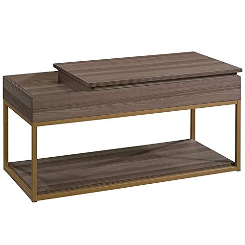 Pemberly Row Lift Top Coffee Table in Diamond Ash - Modern Lift-Top Design with Storage for Living Room, Office, or Dorm | Space-Saving Multi-Functional Furniture
