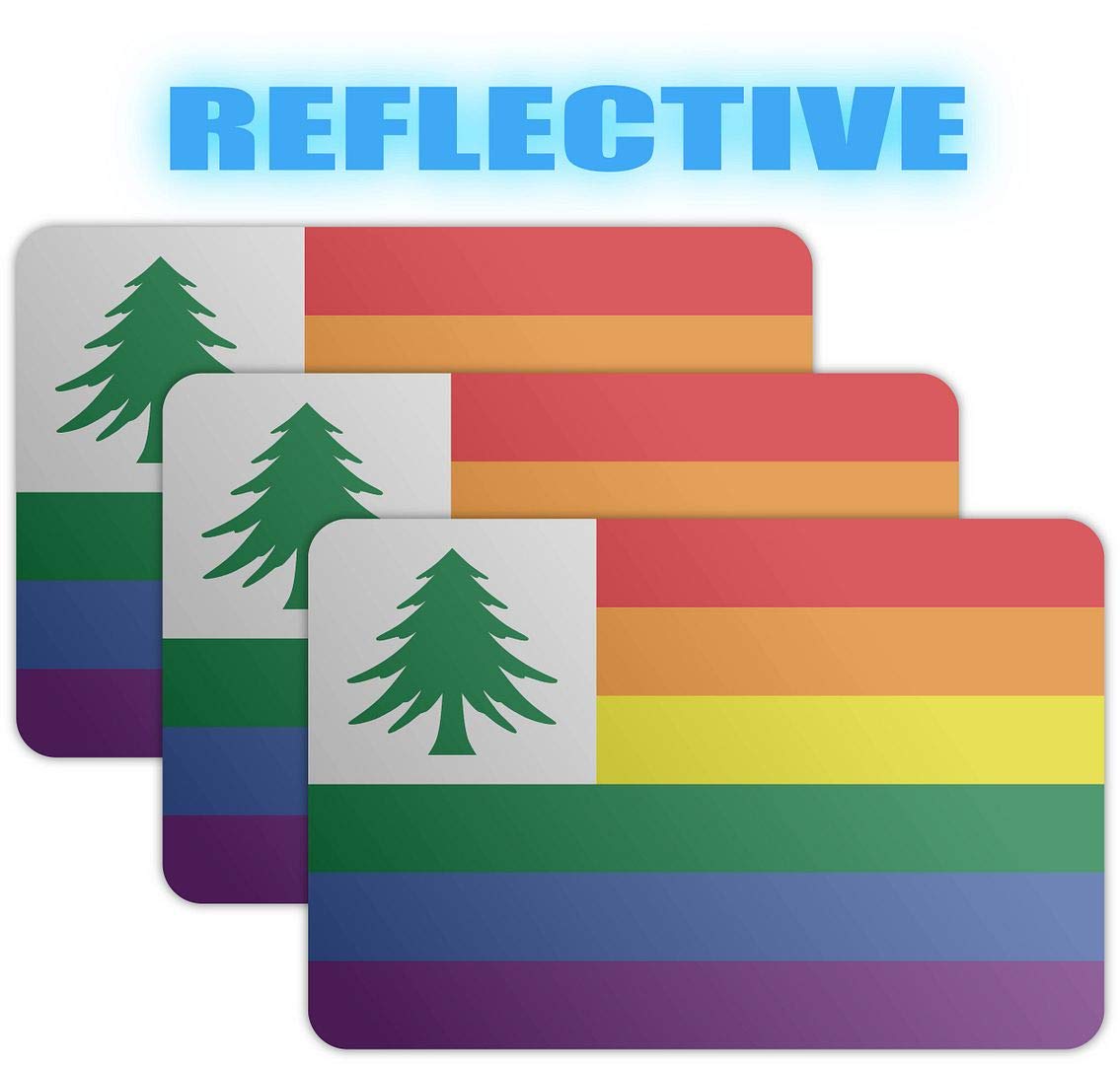 3M Reflective NE Pride Flag Stickers - Safety Decals for Hard Hats, Bikes, Laptops