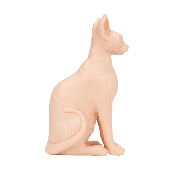 Naked Cat Practice Skin - 1 Pound Realistic Tattoo Training Skin for Beginners & Professionals - Perfect for Tattoo Artists, Students & DIY Enthusiasts
