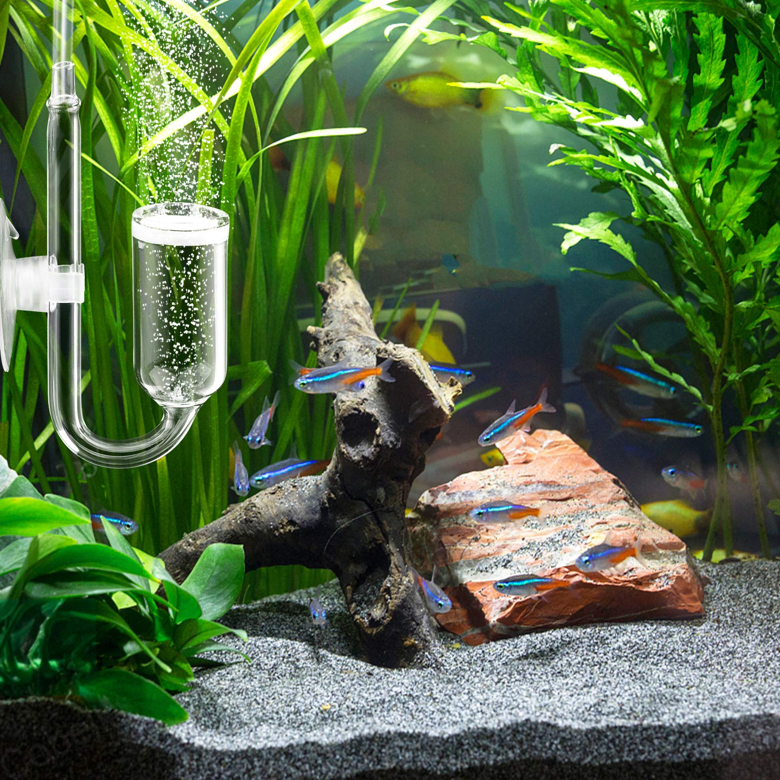 U Shape CO2 Diffuser for Aquarium Plants - Fish Tank Bubble Diffuser