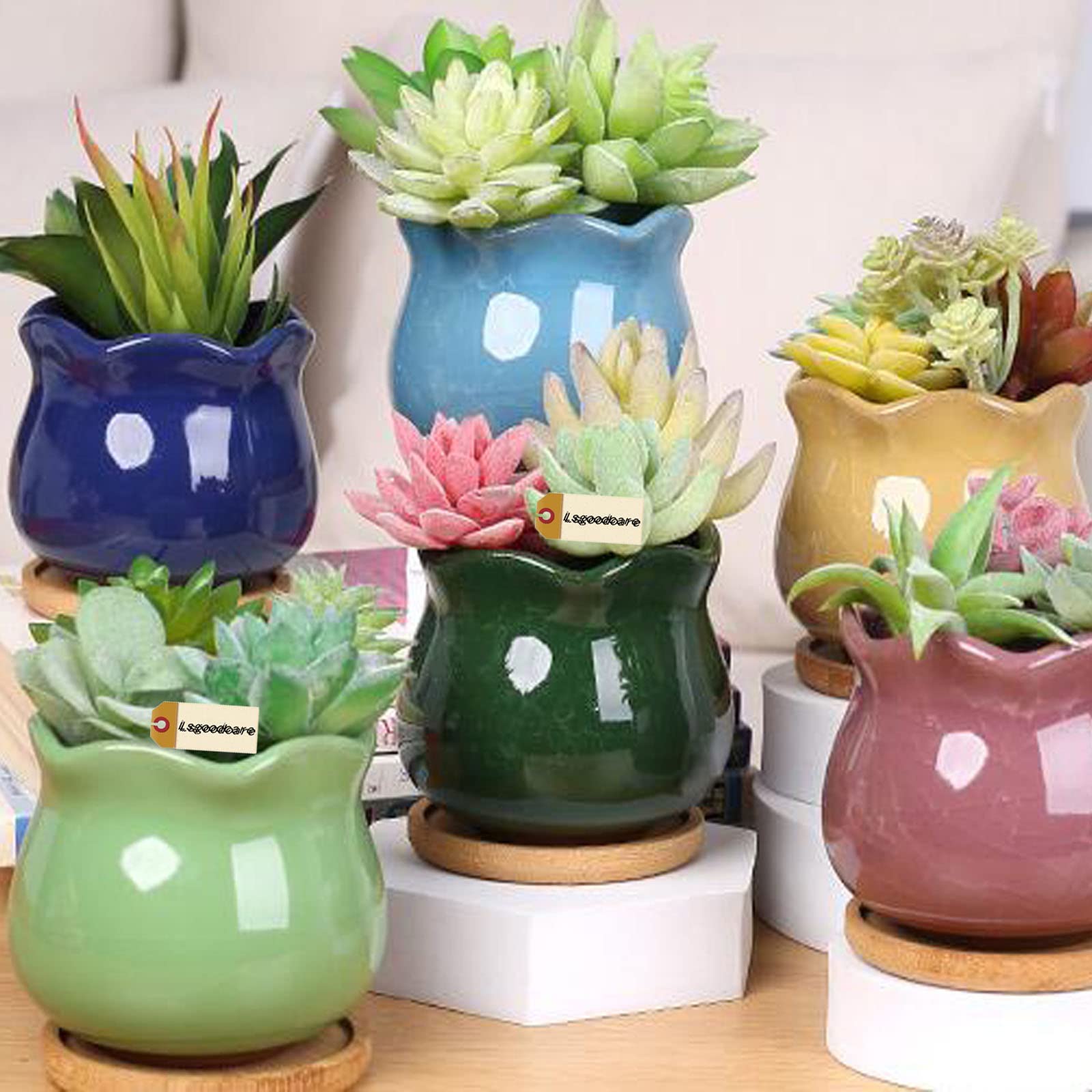 Lsgoodcare 6-Piece Ceramic Succulent Planter Set with Drainage Holes & Mesh Pads - Small Flower Pots for Indoor Plants, Outdoor Garden Decor, Office Desk & Home Décor