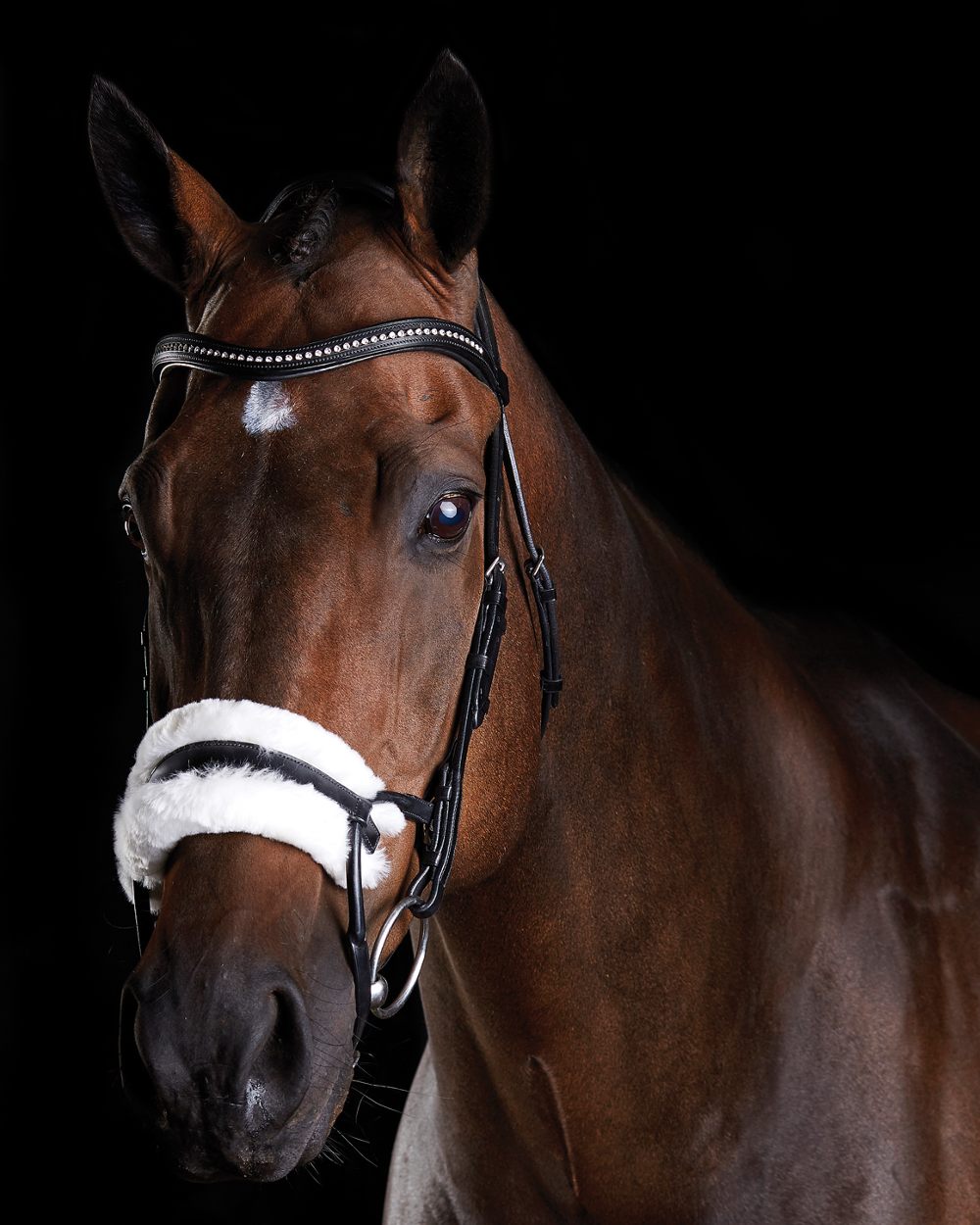 Premium Genuine Sheepskin Bridle for Equestrian Riding - Comfortable & Durable Horse Tack for Dressage, Jumping & Trail Riding