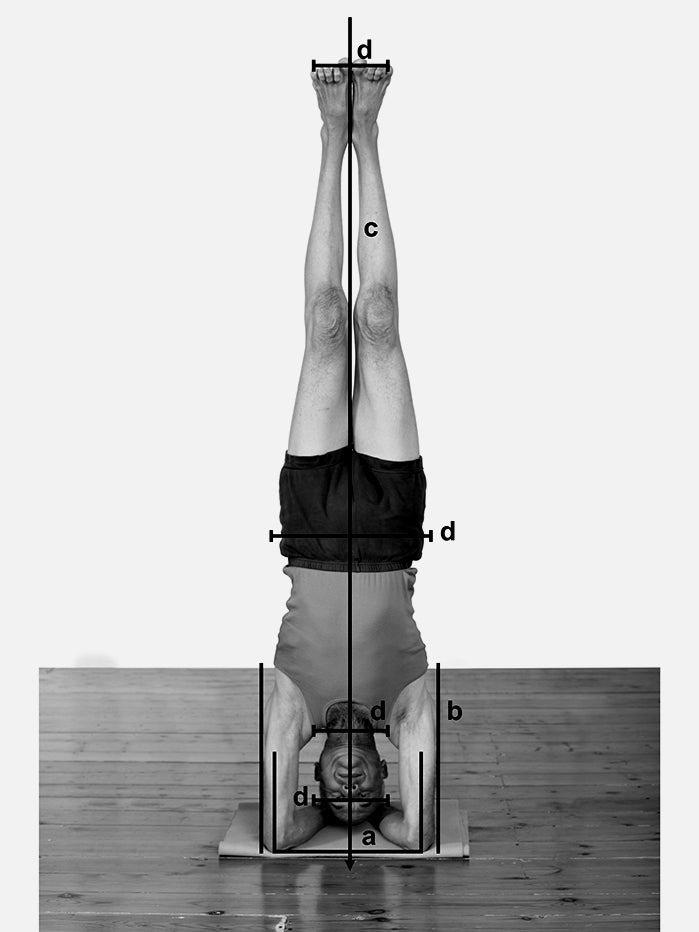 Yoga Props for Inverted Poses - Premium Yoga Blocks, Straps & Bolsters for Handstands, Headstands & Shoulder Stands | Perfect for Home Practice & Studio Yoga Classes