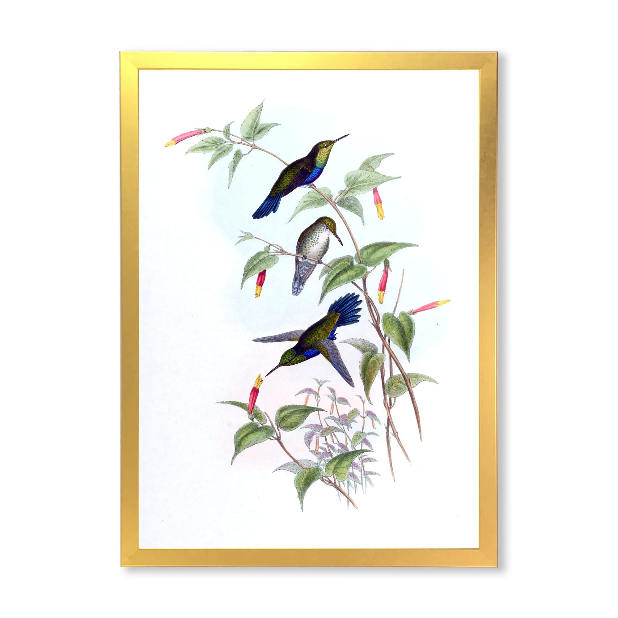 Vintage Hummingbird Wall Art - Traditional Framed Home Decor for Living Room, Bedroom & Office - Handcrafted Floral Bird Painting for Classic Interior Design