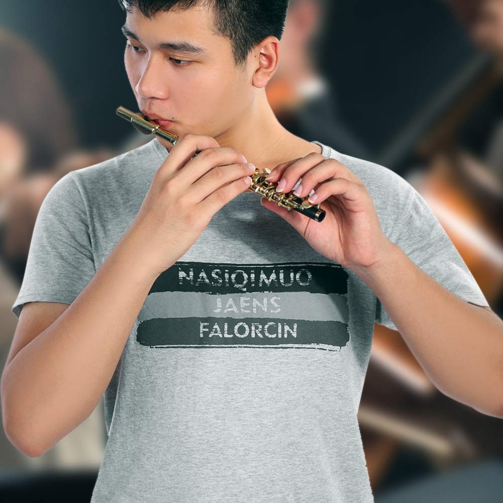 Professional C Key Piccolo - High-Quality ABS Body & Gold Plated Cupronickel Head, Premium Sound with Adjustable Strap & Protective Padded Case | Perfect for Beginners, Band Performances, and Music Practice