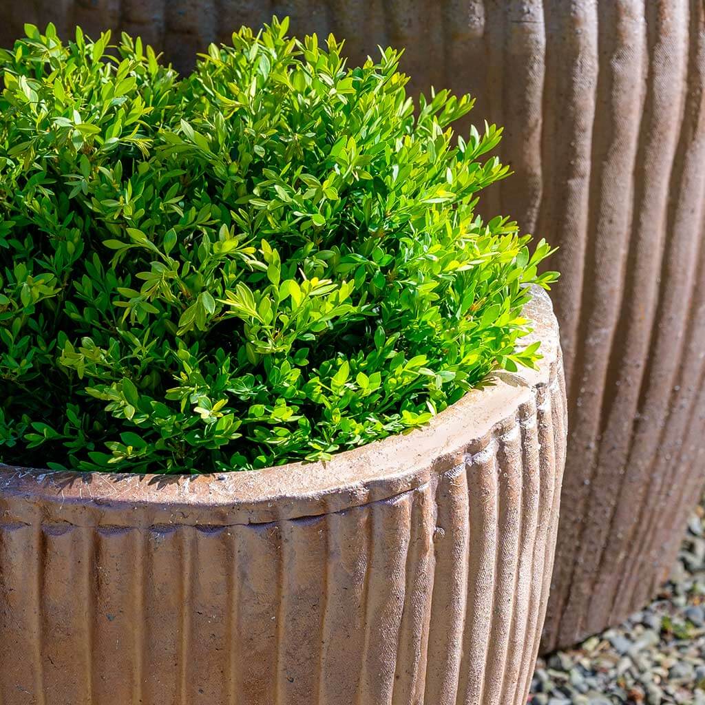 Campania International Han Planter Set of 2 - Natural Rustic Flower Pots for Indoor & Outdoor Plants - Perfect for Home Garden, Patio Decor and Gift Giving