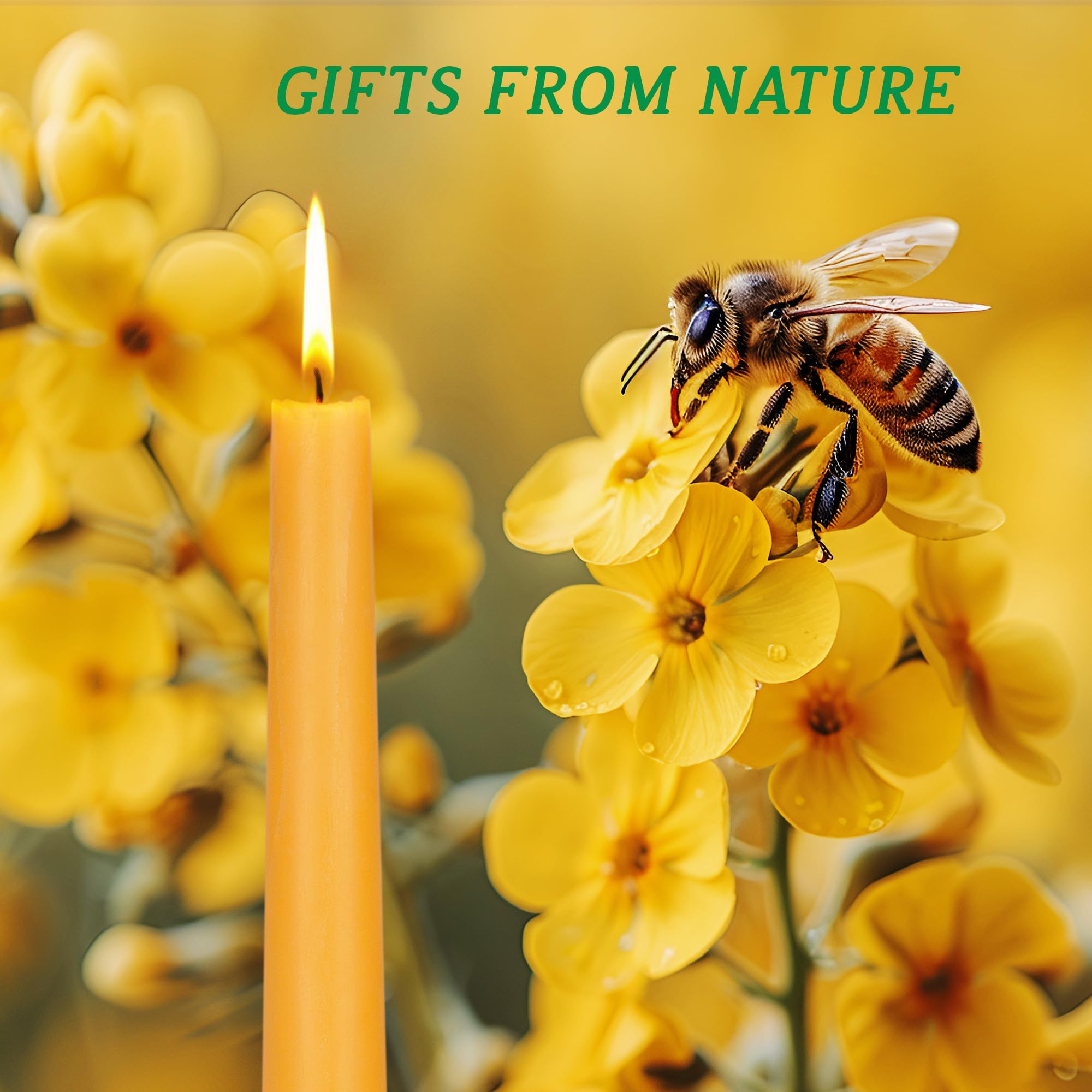 Natural Beeswax Taper Candles 12-Pack - 8 Inch Unscented, Smokeless & Dripless Long-Lasting Candles (8-Hour Burn Time) for Home Decor, Romantic Dinners, Wedding Centerpieces & Holiday Celebrations