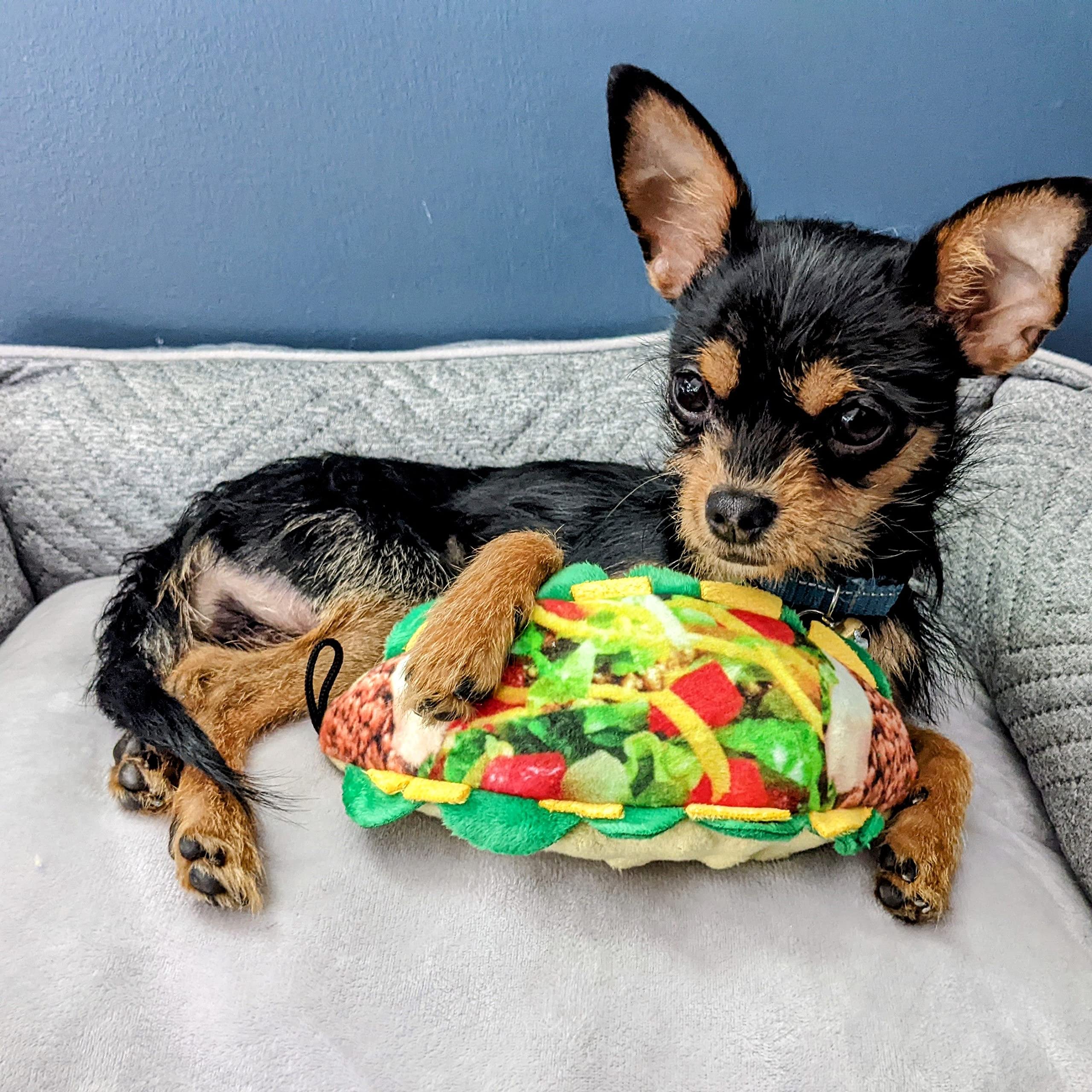 Funny Squeaky Taco Tuesday Dog Toy for Small Dogs - Durable & Safe Chew Toy with Squeaker - Perfect Gift for Pet Lovers - Great for Playtime, Training & Cuddles