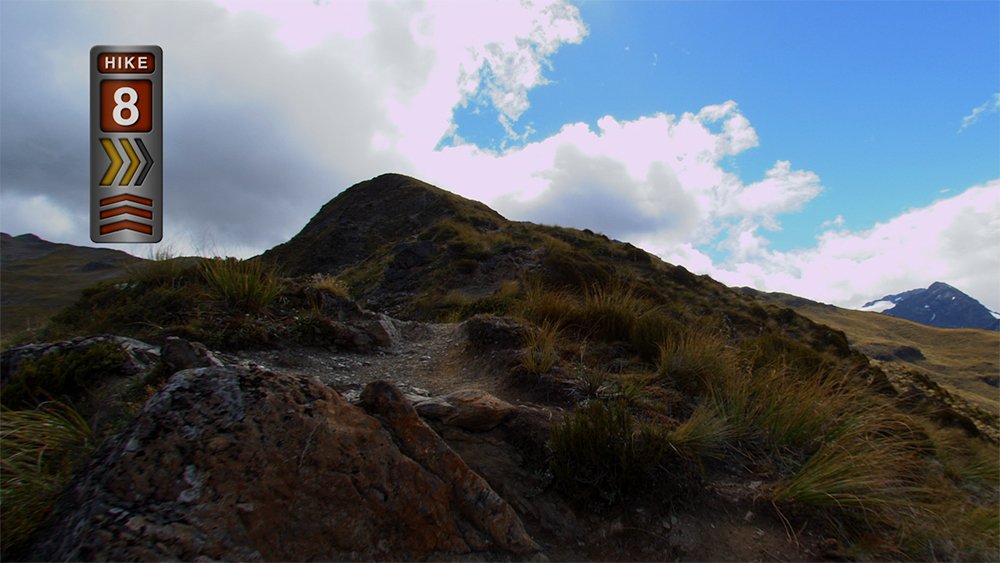 Virtual Active Home New Zealand Hike DVD - Immersive Indoor Walking Workout for Fitness & Scenic Adventure - Perfect for Home Exercise & Treadmill Training