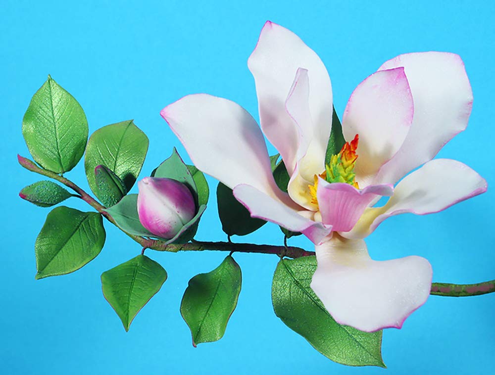 Briar Rose - Magnolia Leaf Veiners Set of 2 Sizes for Polymer Clay & Fondant by WSA | Leaf Texture Tools for Cake Decorating, Jewelry Making & DIY Crafts