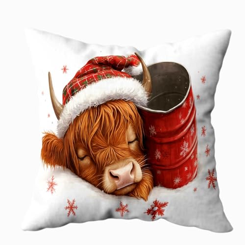 Sleeping Cow