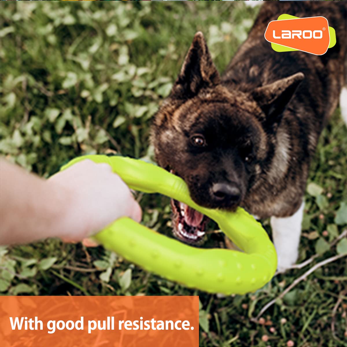 **LaRoo Floating Dog Flying Ring Toy - Durable Outdoor Chew Disc for Medium & Large Dogs - Perfect for Summer Fetch Training & Water Play (Medium Green, 22cm)**