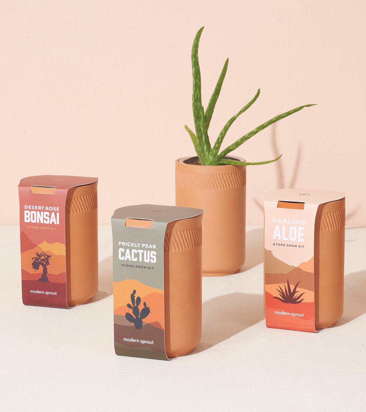 Organic Terracotta Plant Growing Kit - Indoor Herb Garden Starter Set for Basil, Mint & Thyme - Perfect for Kitchen, Balcony & Home Decor