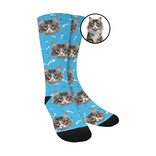 3-cat Blue