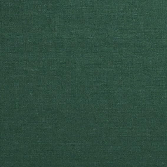 Evergreen - Fringe