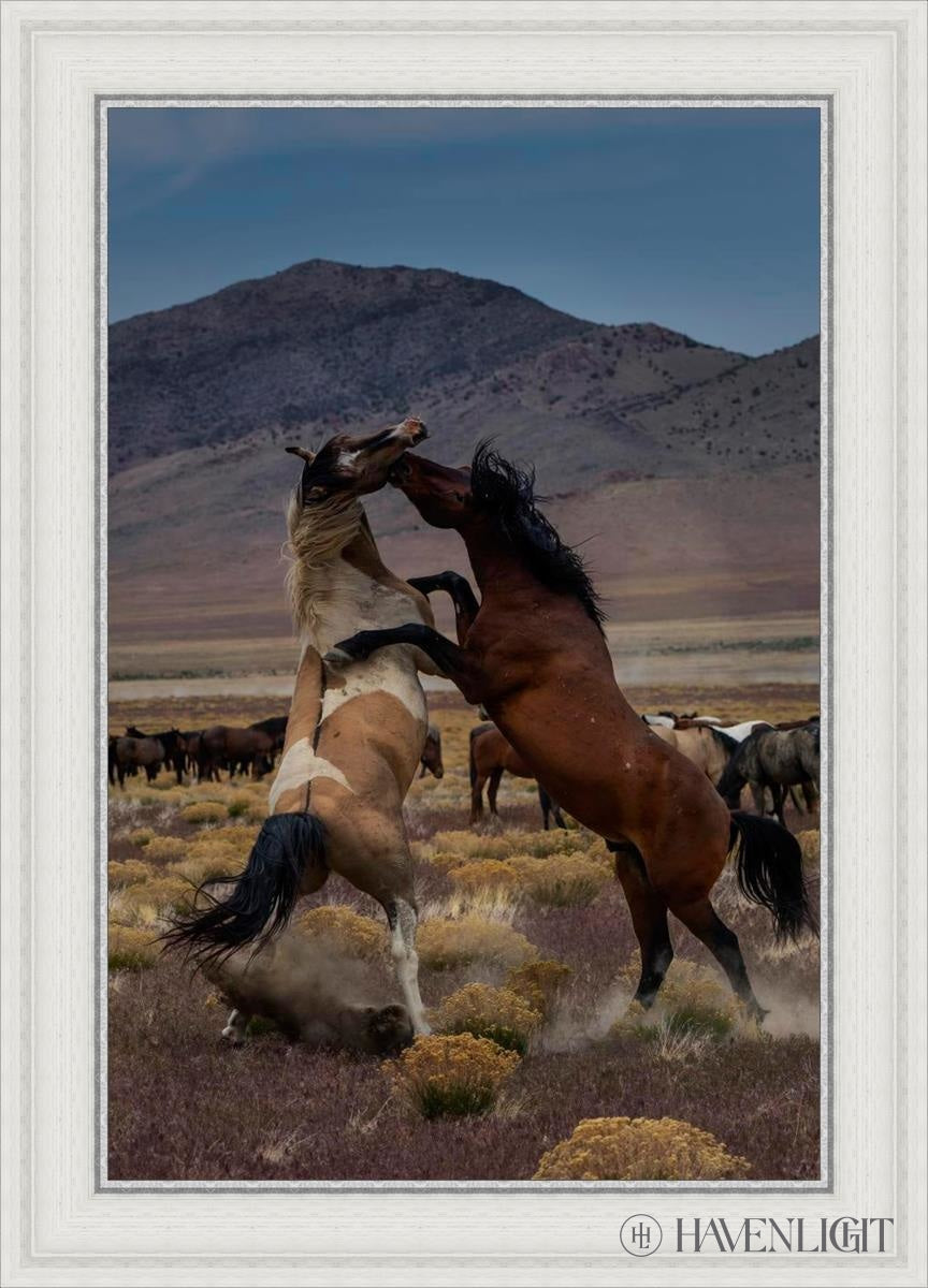 Desert Duel 1 by Greg Sargent - Western Adventure Novel for Adults | Perfect for Book Clubs, Gifts & Western Fiction Fans