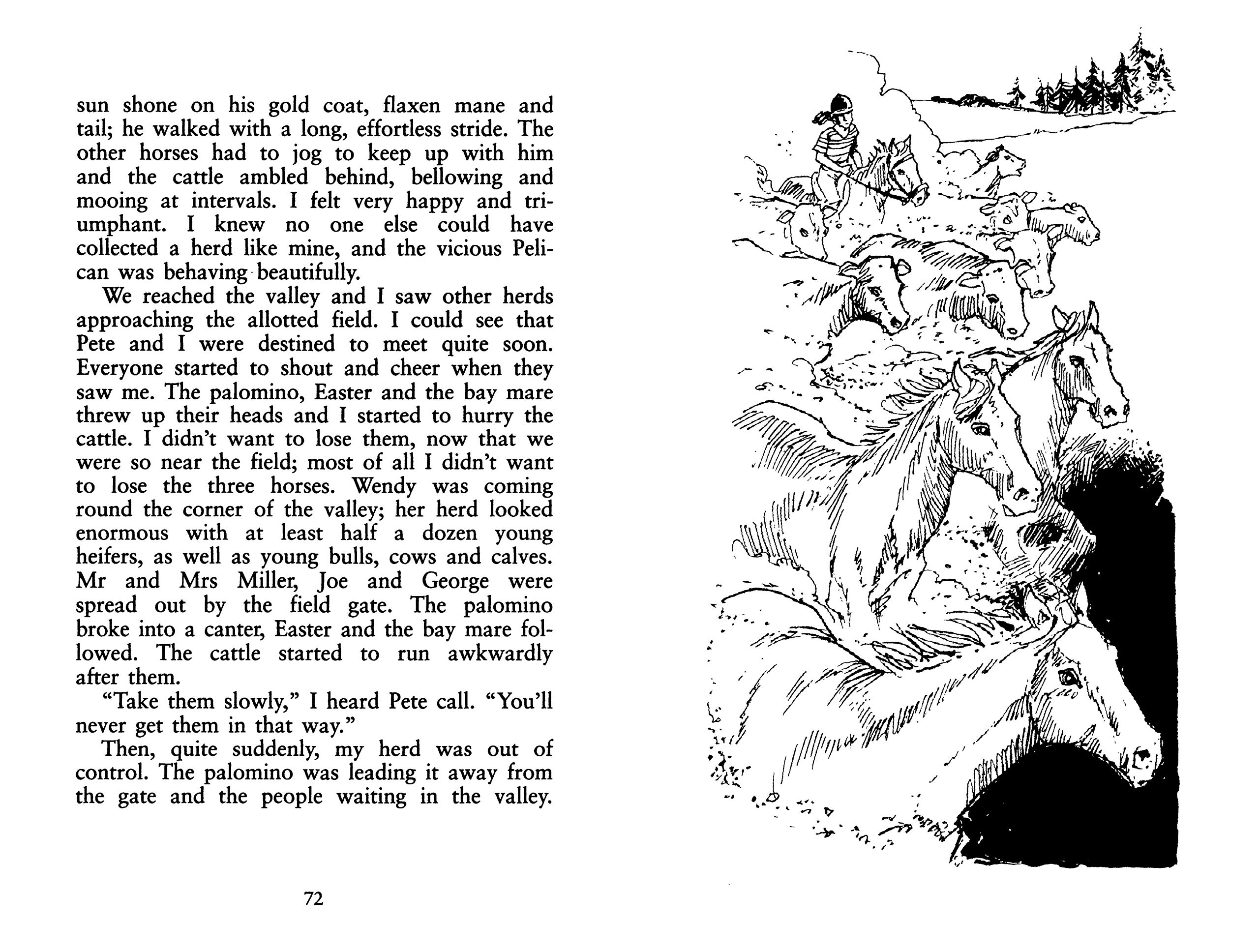 Phantom Horse - The Wild Palomino Book | Award-Winning Children's Story | Perfect for Bedtime Reading & Young Readers