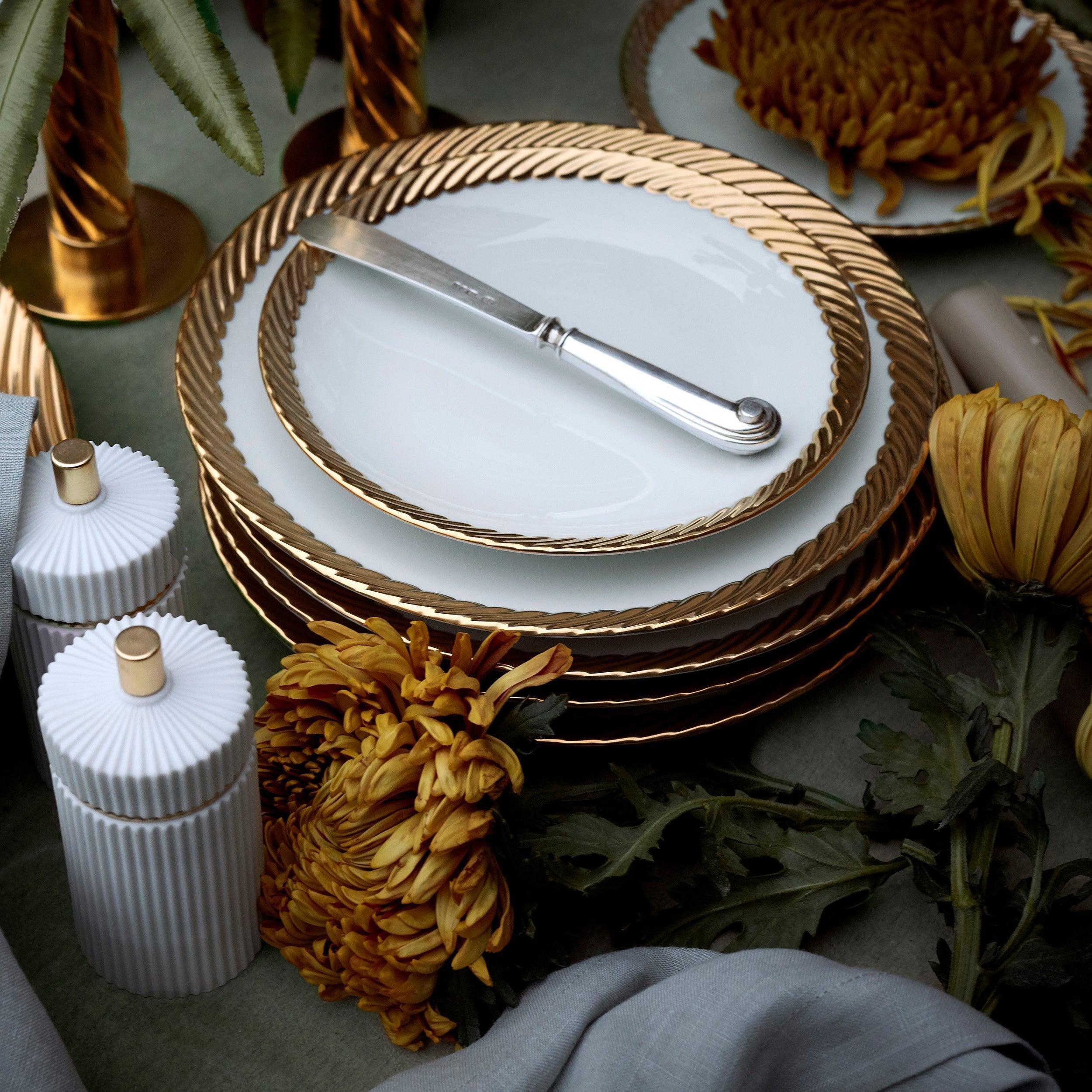 Premium Porcelain Dinner Plates Set of 4 - Elegant Round 10.5