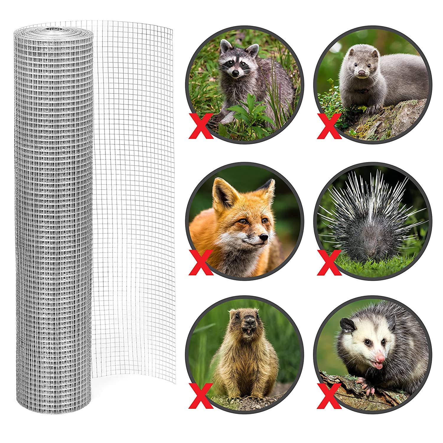 1/2 Inch Galvanized Hardware Cloth 36
