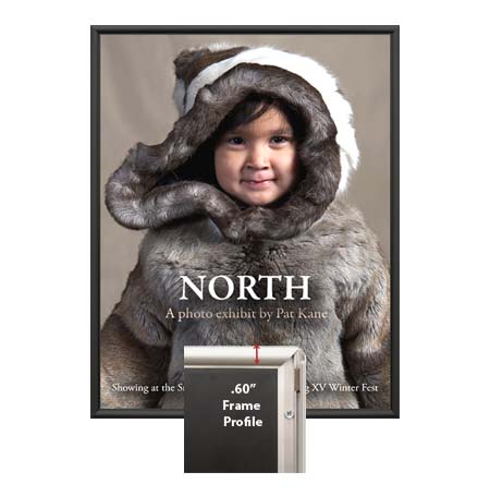 Affordable MINI 24x41 Poster Snap Frame - Slim 0.60