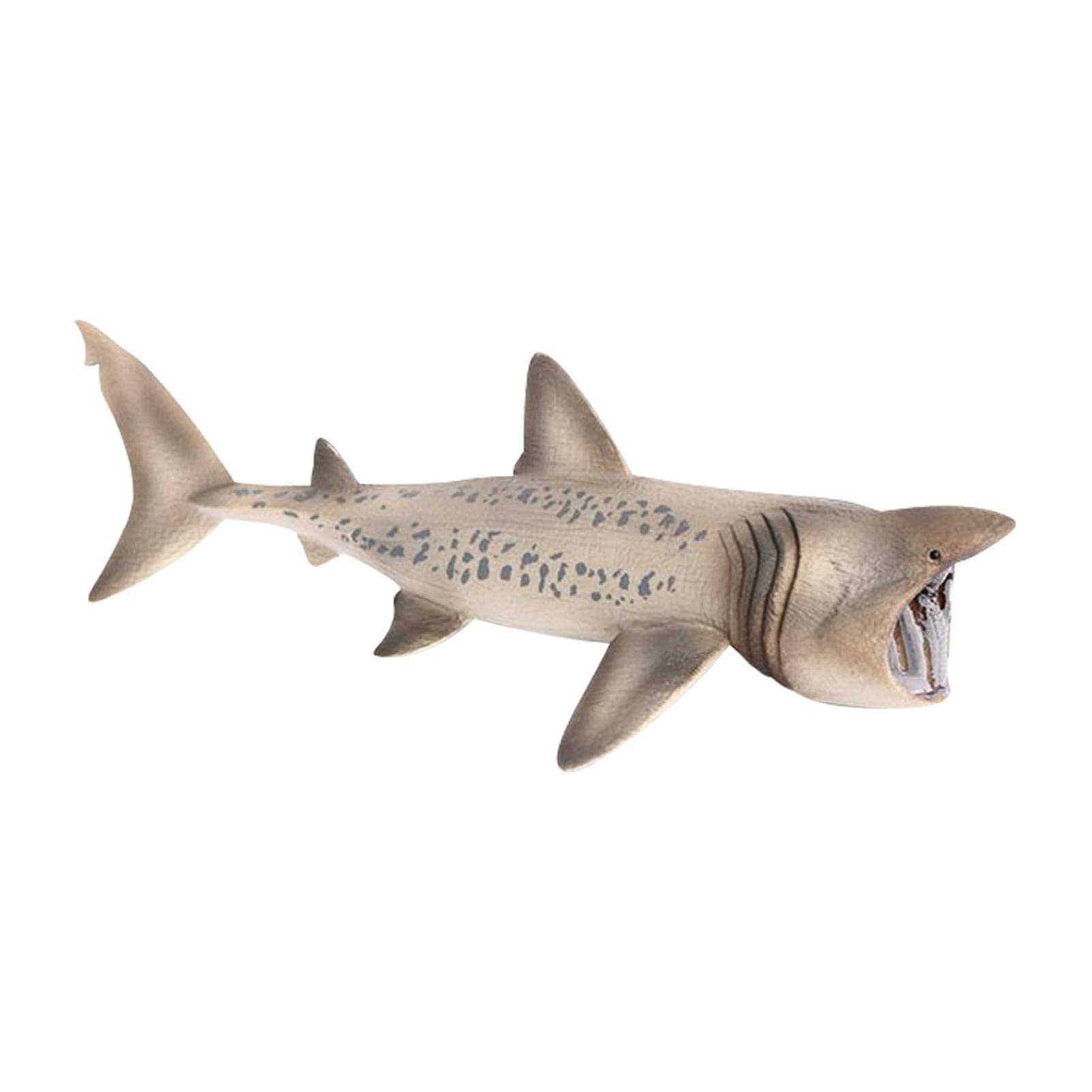 Realistic Shark Toy Figures - Basking Shark Sea Animal Bath Toys for Kids | Educational Ocean Creature Figurines for Boys & Girls | Perfect for Bath Time Play, Classroom Learning & Marine Life Collections
