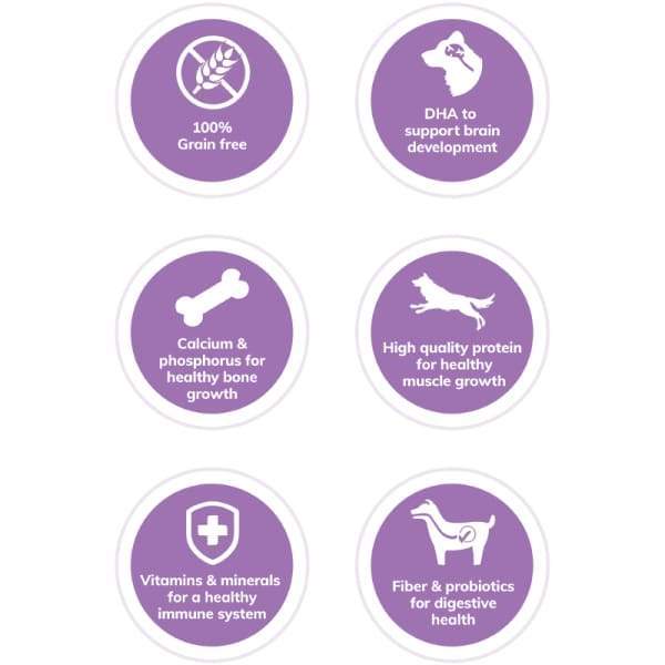 Wellness CORE Grain Free Puppy Dry Dog Food - High Protein Natural Kibble for Small & Large Breed Puppies - 4lb, 12lb & 30lb Bags - Perfect for Training, Growth & Digestive Health