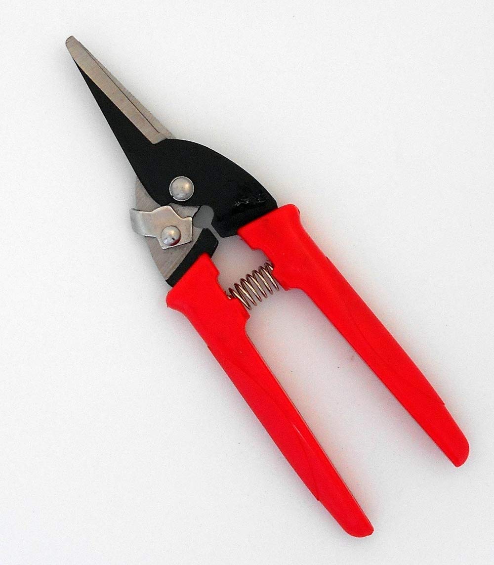 Daiso Premium Gardening Scissors - Sharp Pruning Shears for Plants, Flowers & Herbs | Perfect for Home Garden, Indoor Plants & Bonsai Care