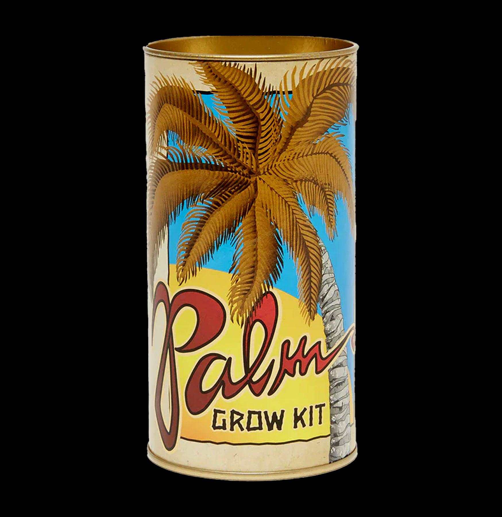 California Fan Palm Tree Seed Grow Kit - Indoor & Outdoor Gardening Starter Kit for Home, Office, or Patio Decor