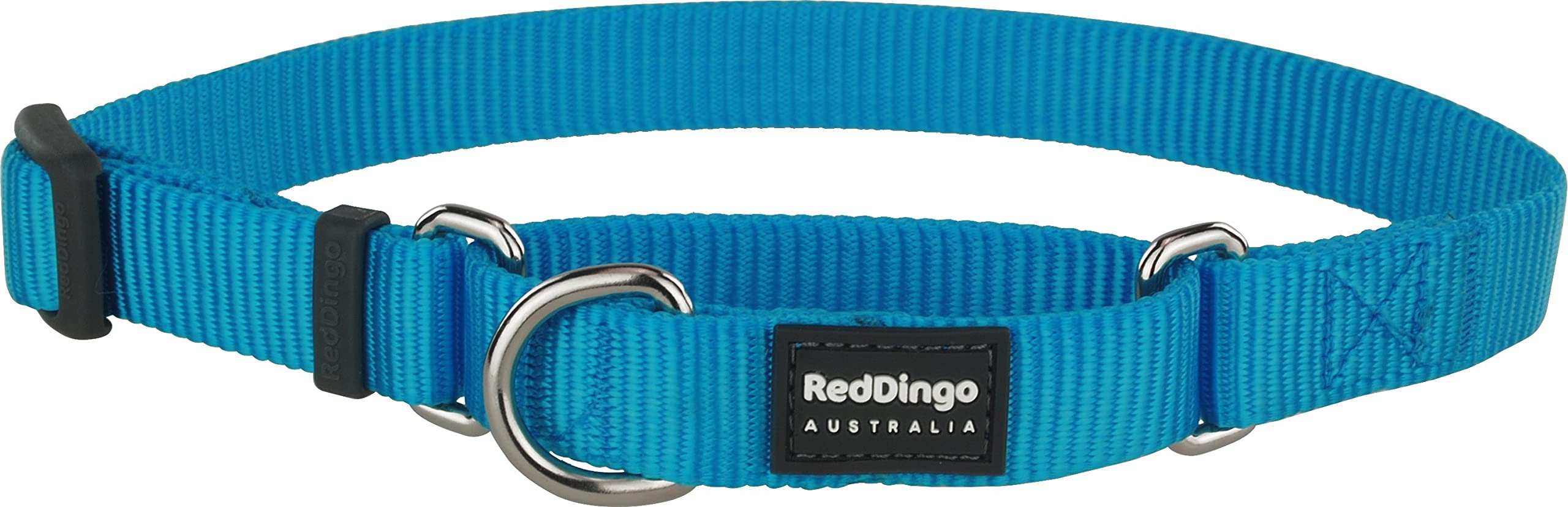 Red Dingo Martingale Classic Dog Collar - Small Size, Turquoise Color | Adjustable & Safe for Training, Walking, and Everyday Use