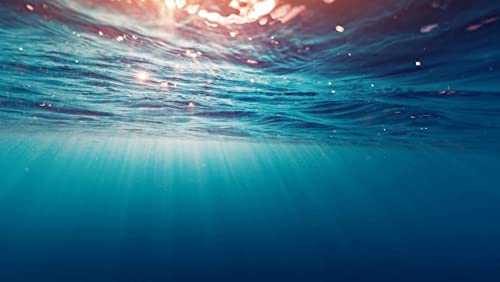 Under Ocean