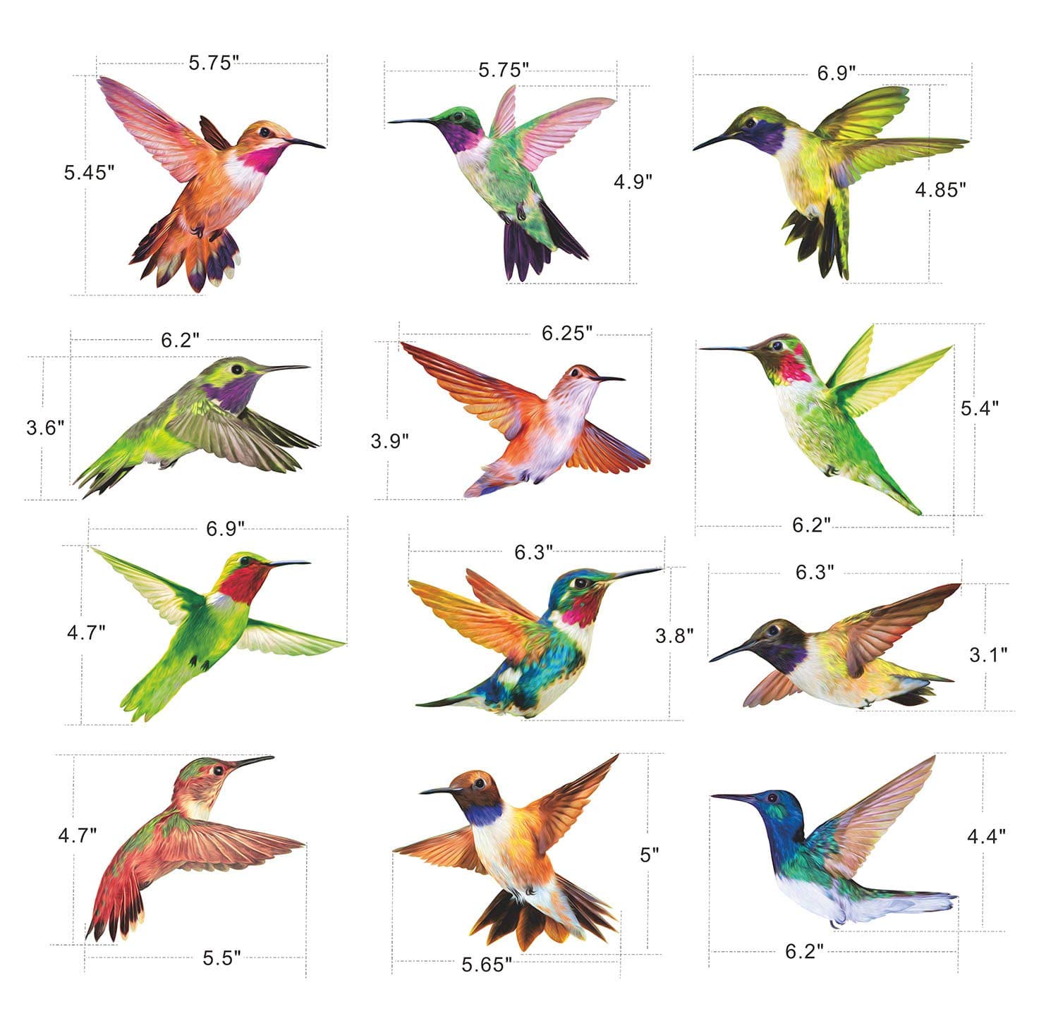12-Pack Anti-Collision Window Decals - Hummingbird Stickers to Prevent Bird Strikes on Glass Windows | UV-Resistant & Weatherproof for Home, Office, and Garden Use